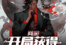 男女主人公高业小说网游:开局获得神级天赋章节免费阅读-书格格