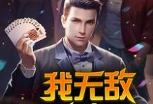 《我无敌,你随意》全集免费在线阅读(陈凡莫琴雨楚金辉齐长伟)-书格格