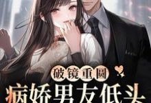 小说《破镜重圆:病娇男友低头诱哄小祖宗》在线章节阅读-书格格
