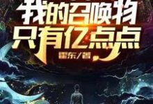 寻找网游：我的召唤物只有亿点点小说的最新更新章节-书格格