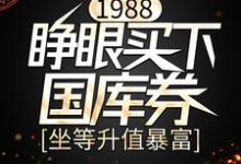 求1988:睁眼买下国库券,坐等升值暴富小说的全文免费阅读链接-书格格