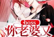 boss你老婆又生气了小说的无弹窗阅读体验,寻找免费阅读网站-书格格