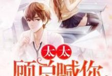 太太，顾总喊你生二胎小说有没有完结版在线？-书格格