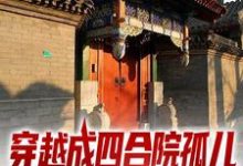 完整版的穿越成四合院孤儿,我靠系统起飞了小说在哪里可以免费读到?-书格格