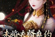 未婚夫婿爽约,她当场招夫免费阅读,未婚夫婿爽约,她当场招夫章节在线阅读-书格格