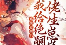系统觉醒后,我给绝嗣大佬生崽崽小说无弹窗阅读的网站推荐-书格格
