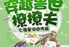 穿越兽世撩撩夫小说的所有章节都能在哪里免费读到?-书格格