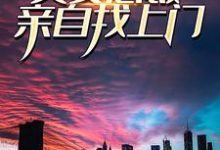 小说被发现后,美女总裁亲自找上门小说,小说被发现后,美女总裁亲自找上门在线阅读-书格格
