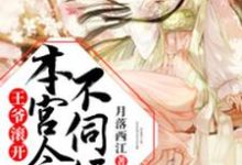 王爷滚开,本宫今夜不伺候这本小说怎么样?免费在线阅读试试-书格格