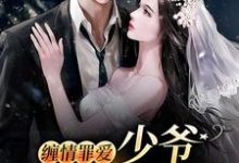 完结版《缠情罪爱:少爷,夫人逃跑了》章节阅读-书格格