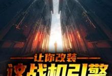 高晓光李幼微小说叫什么(让你改装,这战机引擎什么鬼?免费阅读)-书格格