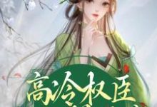 高冷权臣他心悦于我姜愫顾呈域,高冷权臣他心悦于我章节在线阅读-书格格