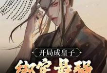 李九天的完整故事在哪里?读开局成皇子,绑定最强开挂系统小说-书格格