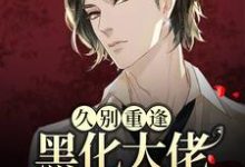 久别重逢:黑化大佬人设崩塌了沈戾纪舟野,久别重逢:黑化大佬人设崩塌了最新章节-书格格