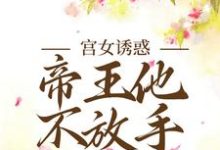 《宫女诱惑，帝王他不放手》小说主角姜楚沈钧章节章节免费在线阅读-书格格
