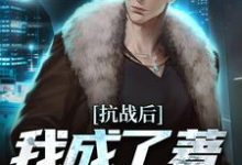 《抗战后,我成了著名特种兵》全集免费在线阅读(王峰王平安)-书格格