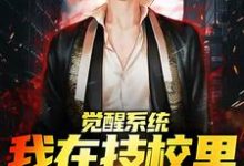 觉醒系统,我在技校里成剑神苏尘小说大结局免费试读-书格格