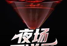 夜场不说爱免费阅读,夜场不说爱章节目录-书格格