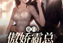 完结版《豪门:傲娇霸总先婚后爱》免费阅读-书格格