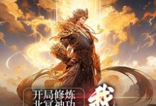 已完结小说《开局修炼北冥神功:我独步于武林》章节免费阅读-书格格