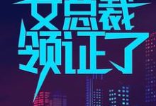 已完结小说《一觉醒来，我和女总裁领证了》在线章节阅读-书格格