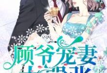 顾爷宠妻太嚣张(叶辰星顾时)在线免费阅读-书格格