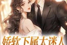 娇软下属太迷人,霸总深陷其中小说最新更新在哪里?免费在线看-书格格