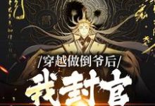 穿越做倒爷后,我封官加爵了小说的最新章节在哪里更新?免费追踪阅读-书格格