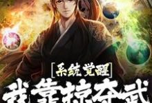 小说《系统觉醒!我靠掠夺武魂无敌了》在线章节阅读-书格格