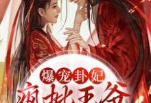 《爆宠卦妃:疯批王爷他超爱》全集免费在线阅读( 师折月燕潇然)-书格格