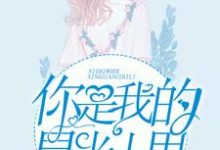 你是我的星光十里小说最新章节在哪里可以读到？-书格格