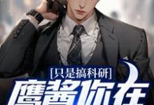 主角苏晨陆婉兮小说只是搞科研,鹰酱你在怕什么?免费阅读-书格格