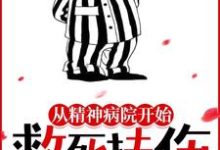 褚止息罗雀阳的故事在哪本书里?免费阅读从精神病院开始救死扶伤-书格格