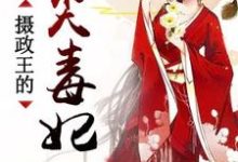 宋倾雪宋冷月启冥的故事在哪本书里?免费阅读摄政王的心尖毒妃-书格格