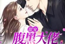甜宠:腹黑大佬蓄谋已久的爱小说全文哪里可以免费看?-书格格