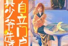 陈时的完整故事在哪里?读假少年被团宠,真少爷选择自立门户小说-书格格