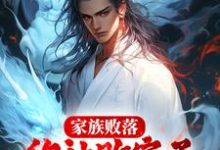 完结版《家族败落,你让败家子力揽狂澜?》章节目录在线阅读-书格格