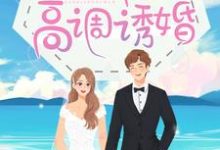 免费看宋医生，请高调诱婚小说的网站有哪些？-书格格