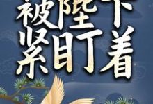 小太监她被陛下紧盯着小说,小太监她被陛下紧盯着章节在线阅读-书格格