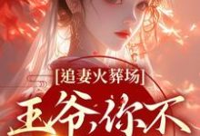 《追妻火葬场:王爷,你不该囚禁她》全集免费在线阅读(关绾绾萧凛之)-书格格