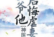 梦轻烟北修辞的故事在哪本书里?免费阅读神医弃妃:王爷他后悔虐妻了-书格格
