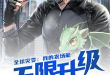 全球灾变：我的农场能无限升级小说有没有完结版在线？-书格格