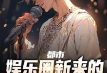 陆清衍沈梨小说在线章节免费阅读(都市:娱乐圈新来的少爷实力非凡无弹窗无删减)-书格格