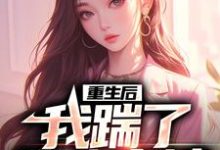 重生后,我踹了花心老婆沈昭衍周嫣晨,重生后,我踹了花心老婆章节在线阅读-书格格
