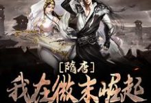 小说《隋唐:我在微末崛起,屹立世界之巅》章节免费阅读-书格格