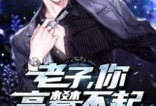 老子,你高攀不起小说全文哪里可以免费看?-书格格