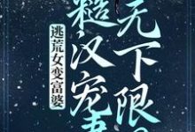 逃荒女变富婆:糙汉宠妻无下限?苏晚晚沈渊,逃荒女变富婆:糙汉宠妻无下限?章节在线阅读-书格格