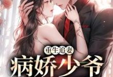 免费在线阅读重生追妻:病娇少爷他超爱小说的正规网站有哪些?-书格格