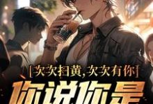 次次扫黄次次有你,你说你是卧底?小说有没有完结版在线?-书格格