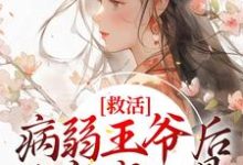想读沈念褚墨渊的故事,哪里可以免费找到救活病弱王爷后,他宠我入骨?-书格格